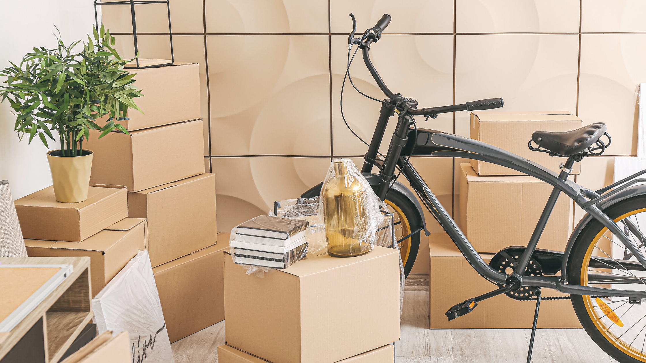 écologique vélo carton déménagement