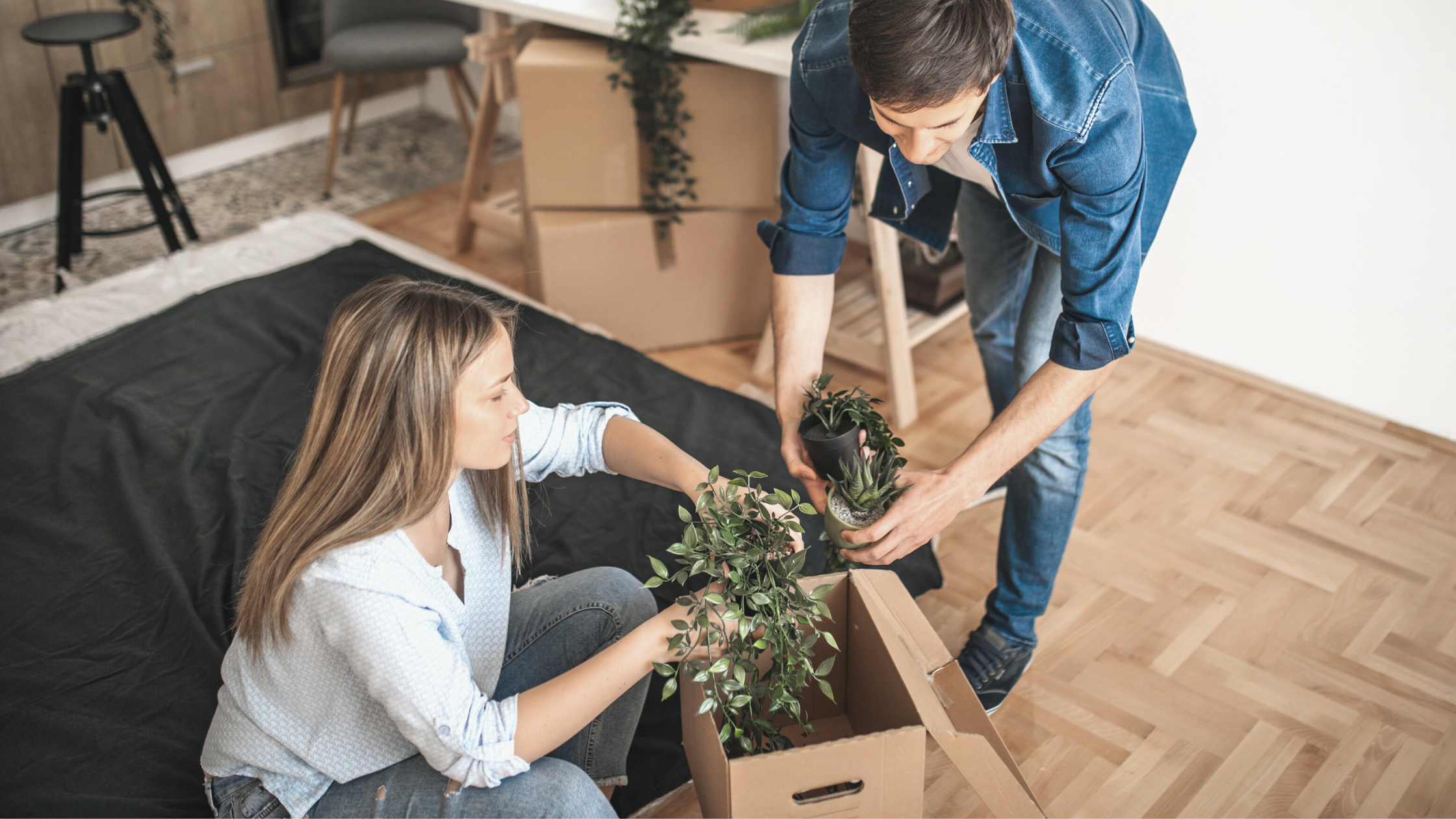 plante déménagement homme femme carton