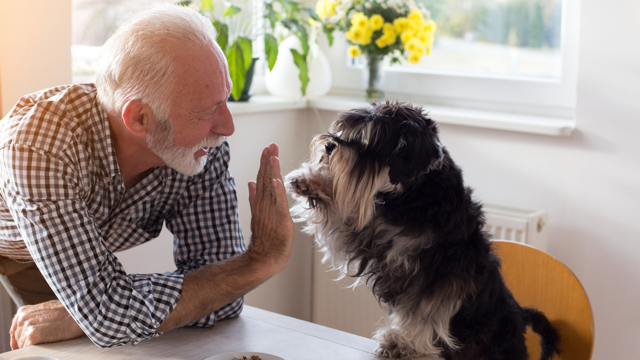 Personne âgé chien