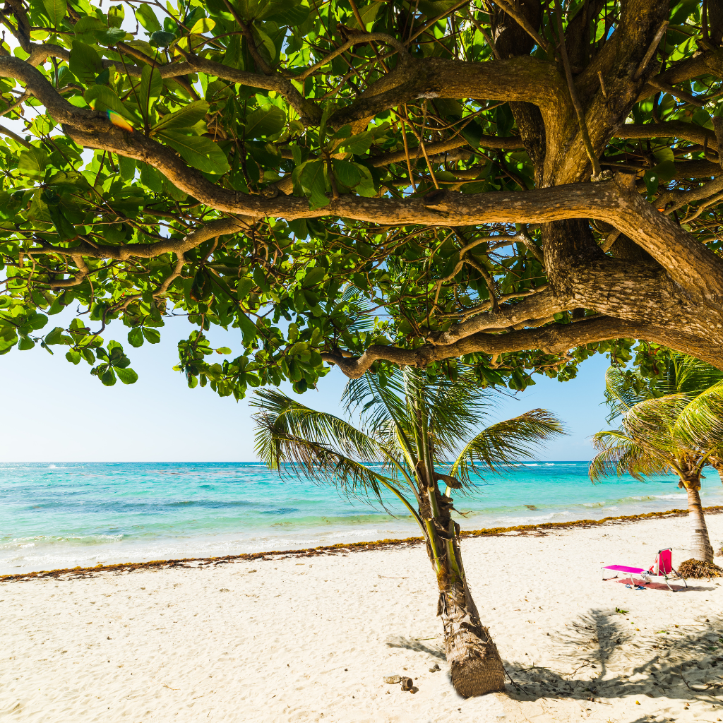 Déménagement en Guadeloupe